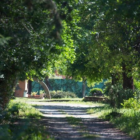 La Villa Delle Rose Róma Kültér fotó