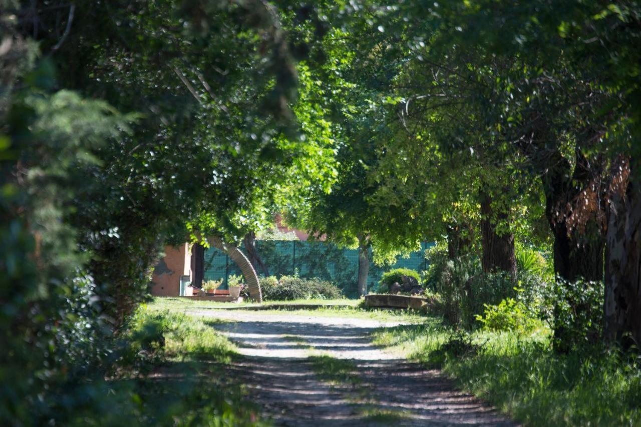 La Villa Delle Rose Róma Kültér fotó